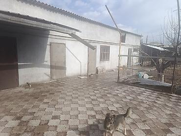 Продажа коттеджей и домов: Срочно продаётся кирпичный дом село Новопавловка по улице Кирова, 6 — 6