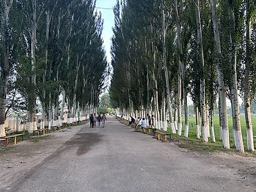 Продажа квартир: 5 и более комнат, 170 м², Элитка, 2 этаж, Евроремонт — 18