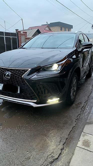 Lexus: Lexus NX: 2019 г., 2 л, Автомат, Бензин, Кроссовер — 11