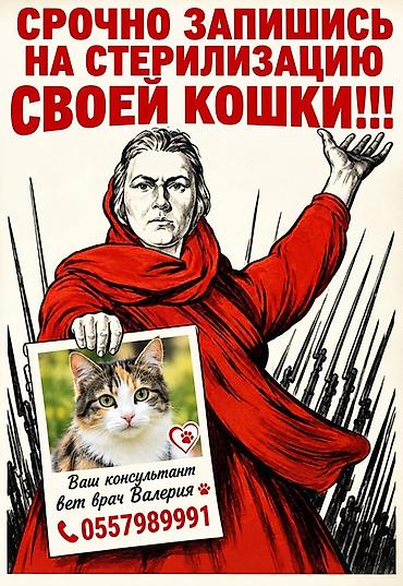 Стерилизация кошек — профессиональная ветеринарная услуга. Что