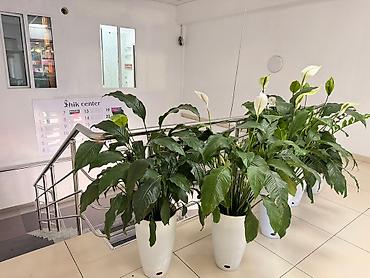 Аренда другой коммерческой недвижимости: Офис Кабинет Сдается помещение коммерческое от 10 м2 до 130 м2 — 12