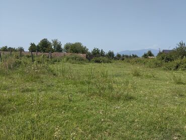 Torpaq sahələrinin satışı: 6 sot, Tikinti, Kupça (Çıxarış) -da lalafo.az — 4 Torpaq sahələrinin satışı: 6 sot, Tikinti, Kupça (Çıxarış) — 4