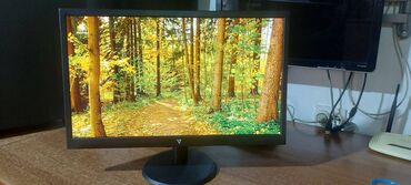 Monitori: V7 L215DS-2E - LED monitor - Full HD (1080p) - 21.5"-perfektan — 7