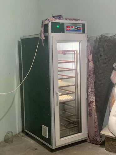 термодатчик для инкубатора в бишкеке: Инкубатор 880 яиц вместимость
