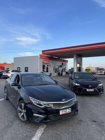 автомобиль для продажи: Kia Optima: 2019 г., 2.4 л, Автоматтык, Бензин, Седан
