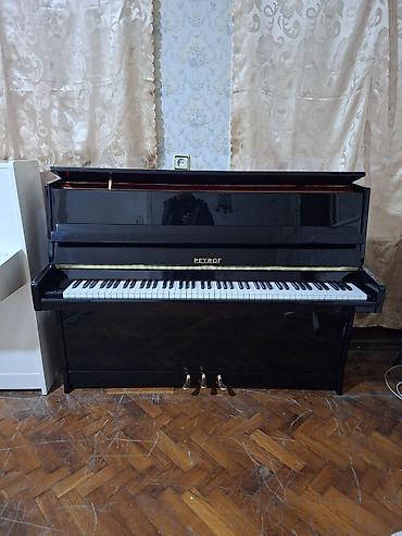 Piano, Petrof, Akustik, Yeni, Pulsuz çatdırılma lalafo.az -da Piano, Petrof, Akustik, Yeni, Pulsuz çatdırılma