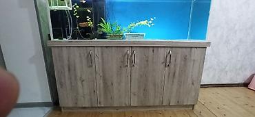 akvarium işığı: Hazır akvaryum satılır dəst şkafla birgə 150 cm uzuluqudu şkaf təzədi — 3
