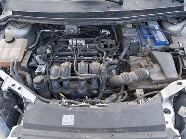 Ford: Ford Focus: 1.6 l. | 2006 έ. 290000 km. Χάτσμπακ — 15
