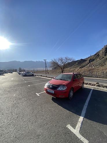 Toyota: Toyota Corolla: 2003 г., 2 л, Автомат, Бензин, Универсал — 14