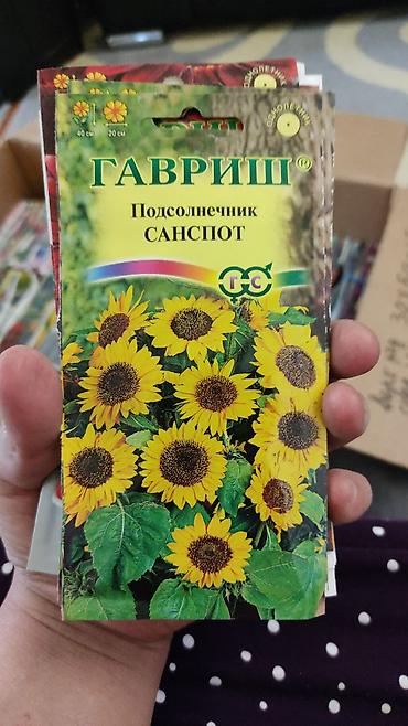 Другие виды семян и саженцев: Продаю чернозем в мешках,земля для цветов,чернозем для роз,чернозем — 21