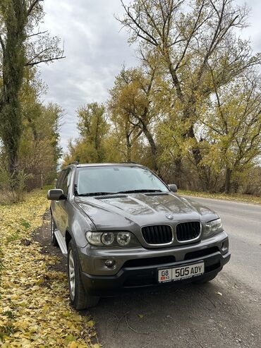 BMW: BMW X5: 2005 г., 3 л, Автомат, Дизель, Кроссовер