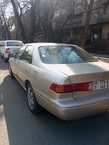 тайота камри 2000: Toyota Camry: 2000 г., 2.2 л, Автомат, Бензин, Седан