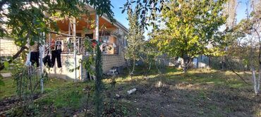 Bağ evlərinin satışı: Xudat, 45 kv. m, 2 otaqlı, Hovuzsuz, Su, İşıq, Qaz -da lalafo.az — 5 Bağ evlərinin satışı: Xudat, 45 kv. m, 2 otaqlı, Hovuzsuz, Su, İşıq, Qaz — 5