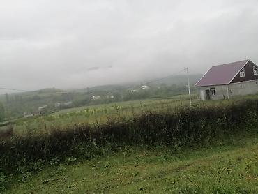 Torpaq sahələrinin satışı: 35 sot, Mülkiyyətçi, Kupça (Çıxarış) — 5