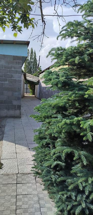 Продажа коттеджей и домов: 🏡 Продается дом в центре г. Чолпон-Ата 📍 Улица Советская, 136 🔹 — 6