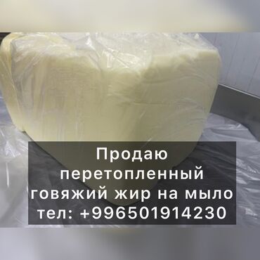 кольцо пандора бишкек: Уйдун майы