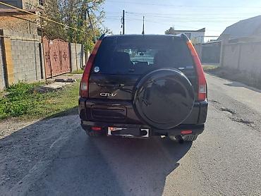cls 55: Honda CR-V: 2004 г., 2 л, Автомат, Бензин, Кроссовер — 7