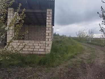 Torpaq sahələrinin satışı: 300 sot, Kupça (Çıxarış) — 11