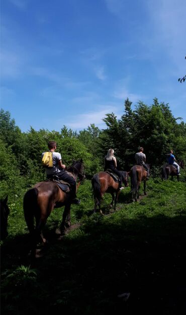 как уехать в европу из кыргызстана: Конная прогулка на иссык-куле🐎
+ фотосессии 🐎