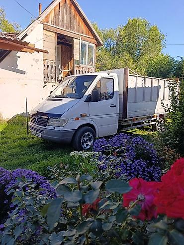 талас спринтер: Mercedes-Benz Спринтер: 1999 г., 2.9 л, Дизель, Пикап — 1