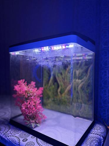 suni bitki: Delsa Aquarium K390 akvarium - Model: K390 (üst qapaqda etiket) - — 5