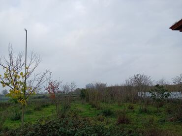 Həyət evləri və villaların satışı: Qaz, isiq, su vif her bir səraiti var Senedler tam qaydasındadı senede — 17