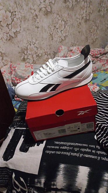 берцы кобра: Кроссовки Reebok Royal Glide Ripple Clip (белые с чёрными вставками) — 1