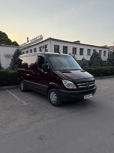 sprinter rex: Mercedes-Benz Спринтер: 2009 г., 2.2 л, Механика, Дизель, Бус — 4