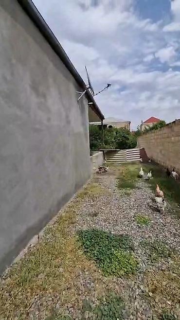 4 otaqlı, 1000 kv. m, Kredit yoxdur, Orta təmir