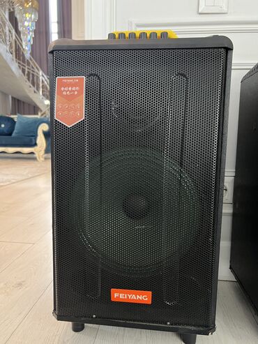 акустические системы ld systems колонка череп: Аренда Колонка Портативная акустическая система Feiyang черного цвета