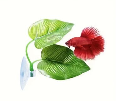 Akvarium üçün aksesuar süni pp materialdan balıq üçün təhlükəsiz bitki at lalafo.az Akvarium üçün aksesuar süni pp materialdan balıq üçün təhlükəsiz bitki