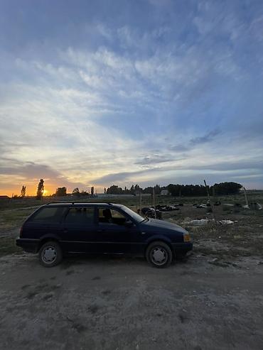 лак авто: Volkswagen Passat CC: 1993 г., Механика, Бензин, Универсал — 2