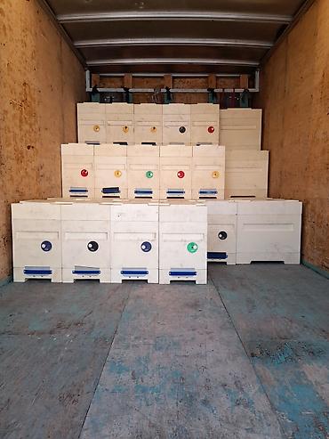 Ящики: Ящик — 16