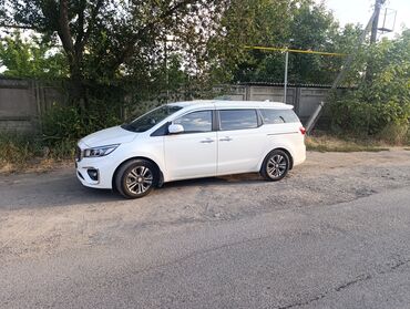 машина алып беребиз: Kia Carnival: 2019 г., 2.2 л, Автоматтык, Дизель, Вэн/Минивэн