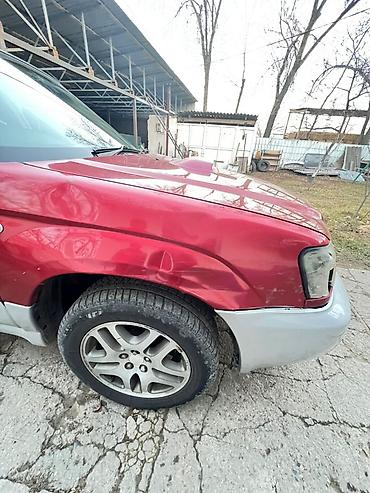 Subaru: Subaru Forester: 2004 г., Бензин — 9