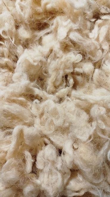 Iki neferlik yorğanlıq yun yuyulub çırpılıb didilib hazırdır
