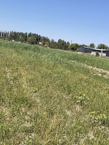 Продажа участков: 27000 соток, Для строительства, Договор купли-продажи — 20