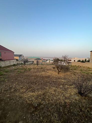 rahat əmlak: 16 sot, Tikinti, Mülkiyyətçi, Kupça (Çıxarış) — 10