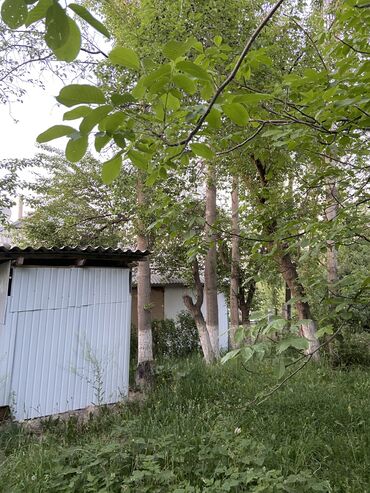 Лес кругляк: Терак сатылат кому интересно напишите или звоните ! at lalafo.kg Лес кругляк: Терак сатылат кому интересно напишите или звоните !