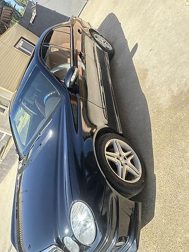 продажы авто: Mercedes-Benz E-Class: 2004 г., 2.2 л, Автомат, Дизель, Седан — 9
