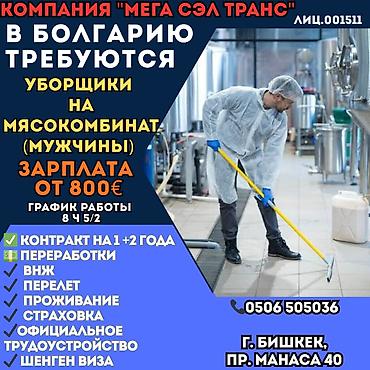Жумуш - Болгария, Тажрыйбасы бир жылдан аз, Форма