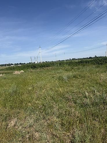 сокулуе: 5 соток, Курулуш, Кызыл китеп, Сатып алуу-сатуу келишими — 3