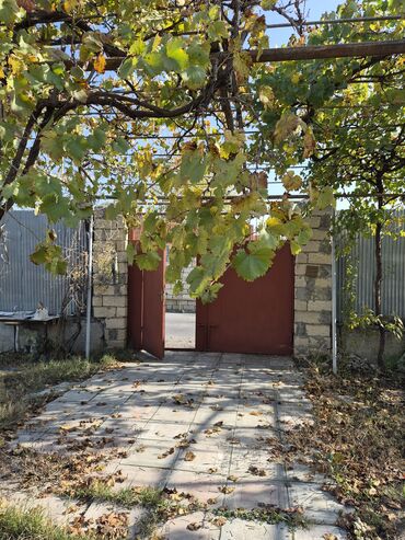 Torpaq sahələrinin satışı: 8 sot, Mülkiyyətçi, Texniki pasport, Kupça (Çıxarış) — 11