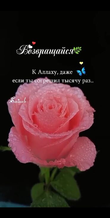 чистка домов: Ищу работу. По субботам и воскресенье .Уборка посудомоечной