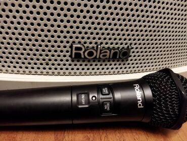 купить колонку: Продаю Roland ba55 в комплекте с радио микрофоном, в нем микшер на три