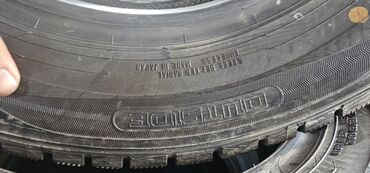 дордой шина: Шины 195 / 65 / R 14, Зима, Б/у, Комплект, Легковые, Япония, Dunlop