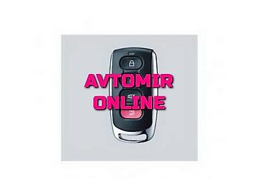 Avtoelektronika: Inwells siqnalizasiya 3965 🚙🚒 Ünvana və Bölgələrə ödənişli çatdırılma — 1