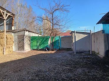 Продажа коттеджей и домов: Продаётся большой дом в селе Петровка с большим участком 40 — 8