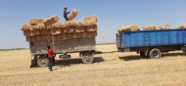 Torpaq sahələrinin satışı: 40000 sot, Kənd təsərrüfatı, Mülkiyyətçi, Müqavilə — 14