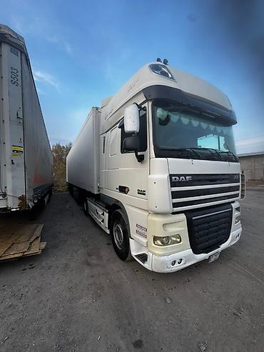 Тягачи: Тягач, DAF, 2007 г., Без прицепа — 7